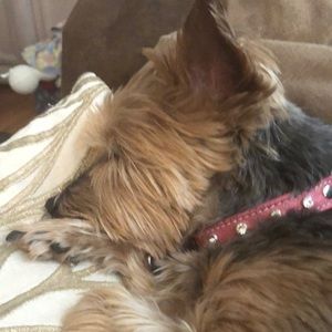 Meet your Posher, Lorraine